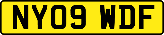NY09WDF