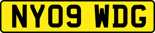 NY09WDG