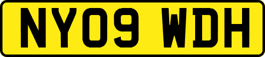 NY09WDH