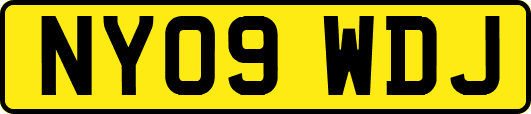 NY09WDJ