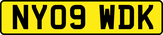 NY09WDK
