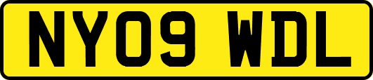 NY09WDL