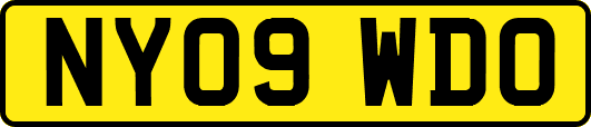 NY09WDO