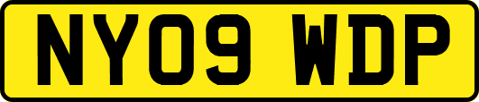 NY09WDP