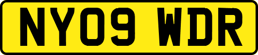 NY09WDR