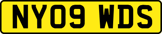 NY09WDS