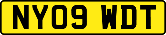 NY09WDT