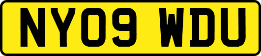 NY09WDU