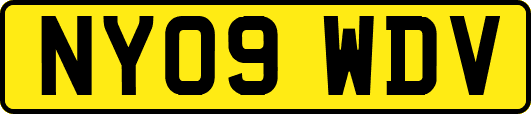 NY09WDV