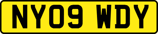 NY09WDY