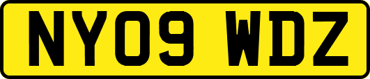 NY09WDZ