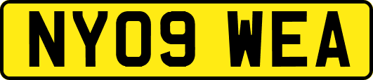 NY09WEA