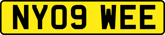 NY09WEE