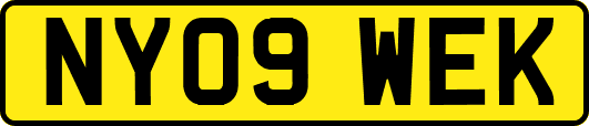 NY09WEK