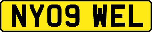 NY09WEL