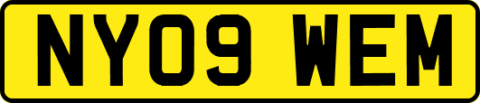 NY09WEM