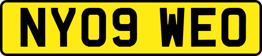 NY09WEO