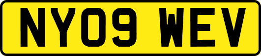 NY09WEV