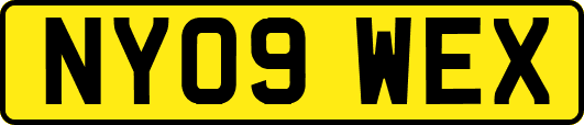 NY09WEX