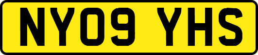 NY09YHS