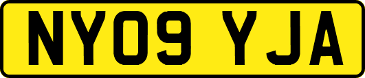NY09YJA