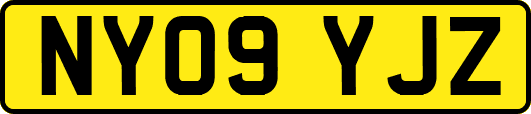 NY09YJZ