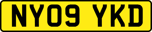 NY09YKD