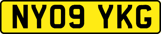 NY09YKG