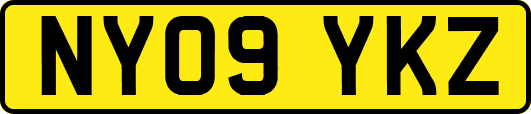 NY09YKZ