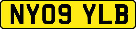 NY09YLB