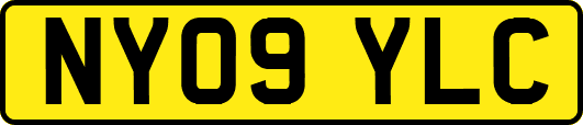 NY09YLC