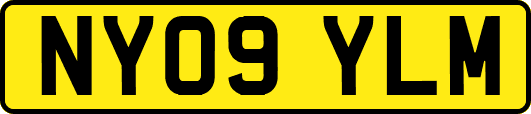 NY09YLM