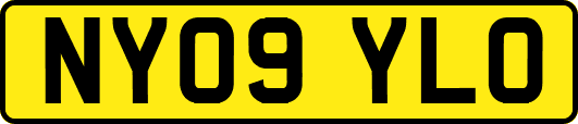 NY09YLO