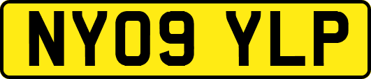 NY09YLP