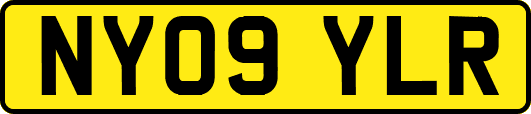 NY09YLR