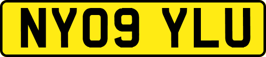 NY09YLU
