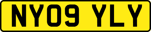 NY09YLY