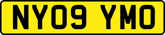 NY09YMO