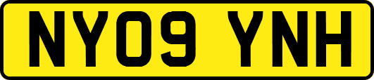 NY09YNH
