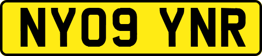 NY09YNR