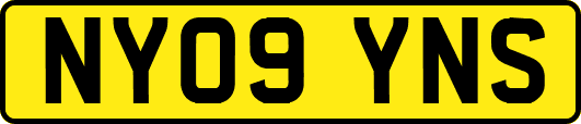NY09YNS