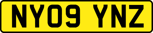 NY09YNZ
