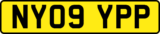 NY09YPP