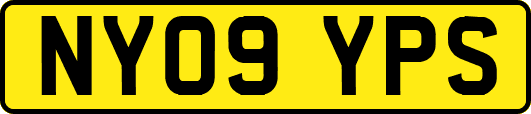 NY09YPS