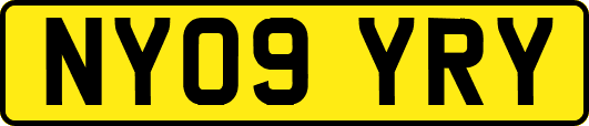 NY09YRY