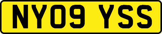 NY09YSS