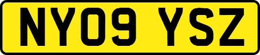 NY09YSZ