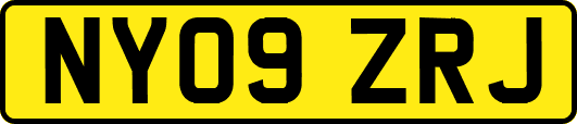 NY09ZRJ