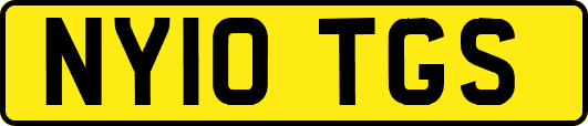 NY10TGS