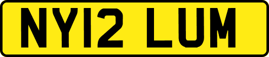 NY12LUM